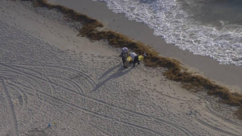 Encuentran A Un Hombre Muerto Flotando En El Mar En Miami Beach 8261